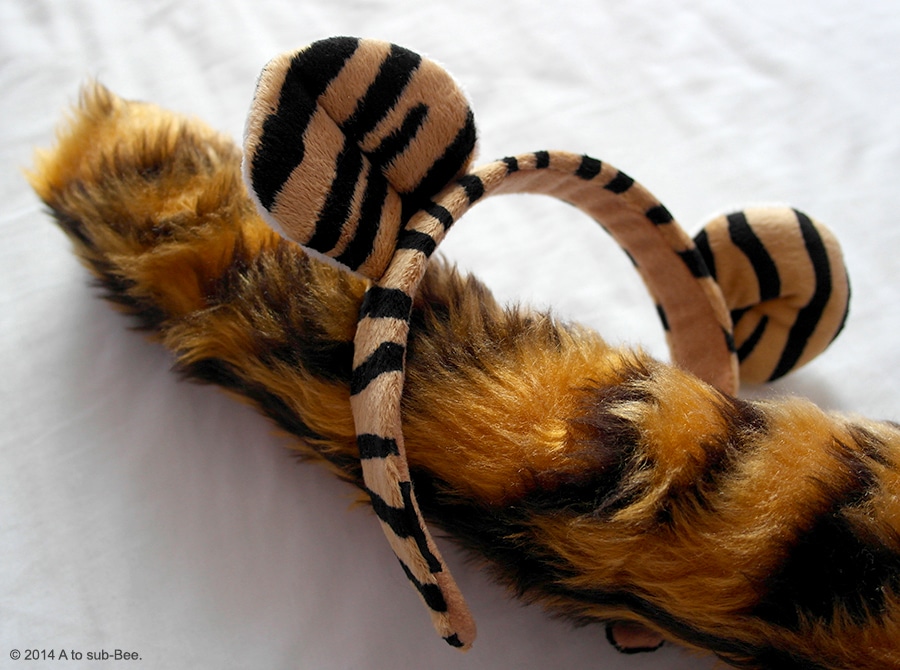A teasing image of a fake tiger tail and a headband with tiger ears worn for a fun run