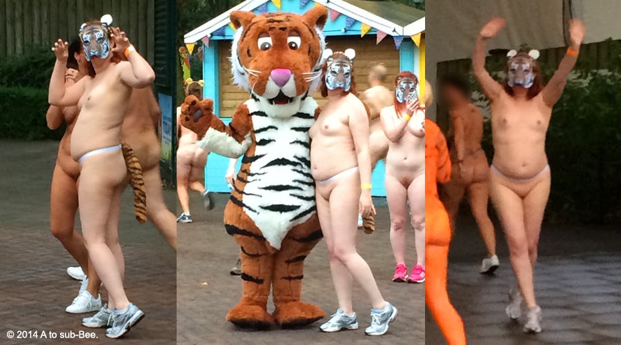 A triptych of Bee naked and streaking through the zoo dressed as a tiger