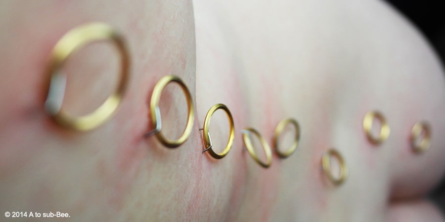 A row of rings stapled into Bee's back ready for lacing a corset