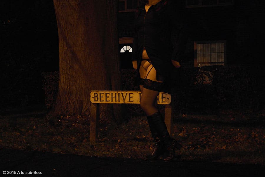 Bee in stocking giving you a flash next to a road name sign with bee in the name