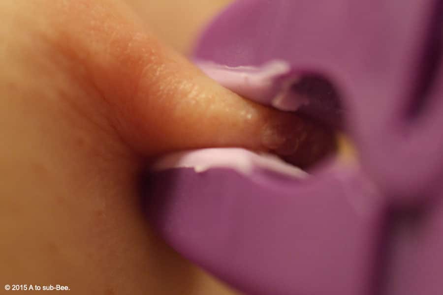 A macro image of a clothes peg on Bee's nipple showing they're not just for pegging clothes