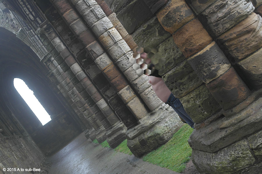 Bee flashing at Whitby Abbey whilst searching for her Count Dracula