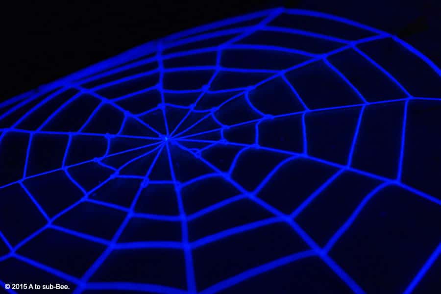 Bee with a very cool looking spiderweb on their back made of white string highlighted in blue from a blacklight.