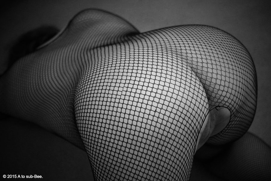 Bee wearing a fishnet stocking on all fours bending over for their Sir