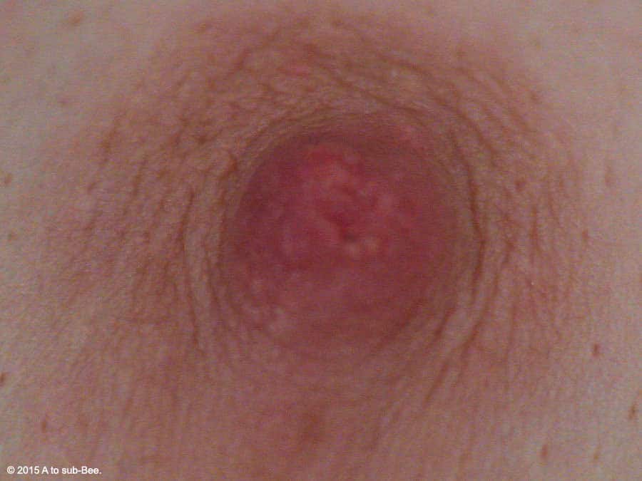 A close up of Bee's nipple, also known as their on switch