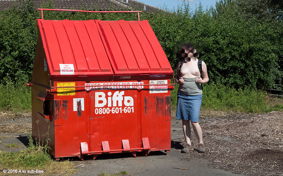 Bee flashing thier breasts next to a dumpster feeling down in the dumster