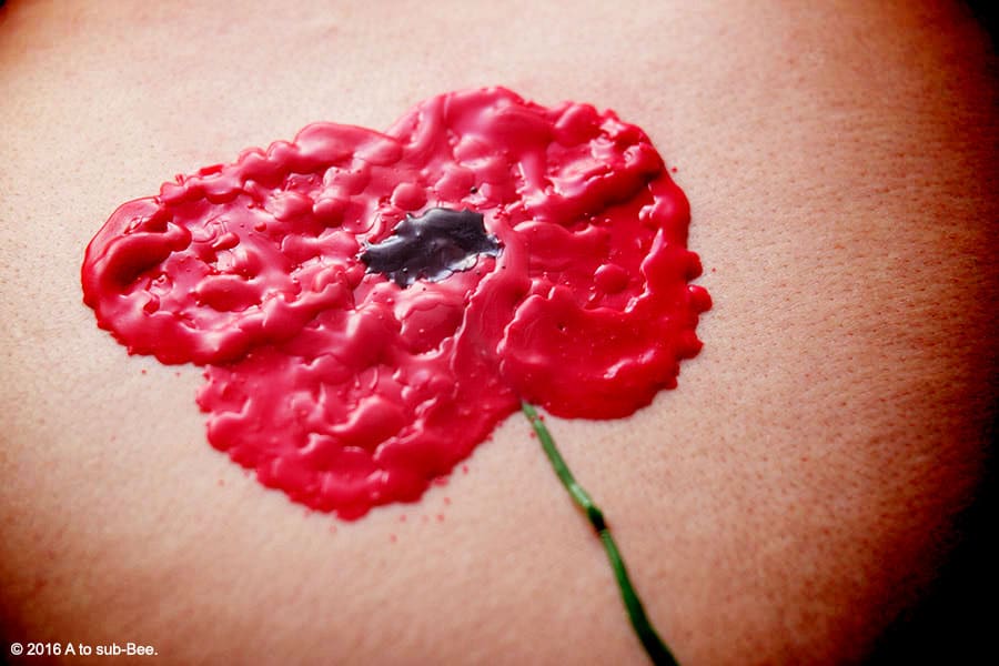 A waxplay poppy to illustrate the poem For The Fallen