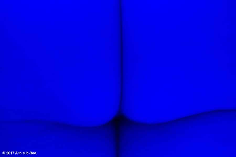An image of Bee's bottom with a blue hue looking like a blue moon