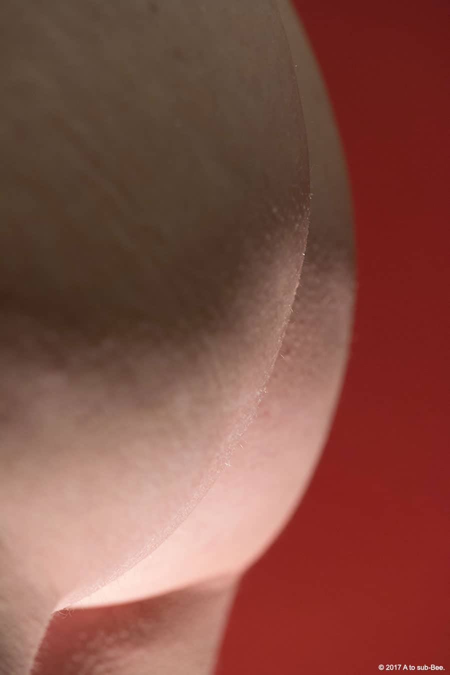 A close up of the side of Bee's bottom against a red background highlighting the beauty of simple curves