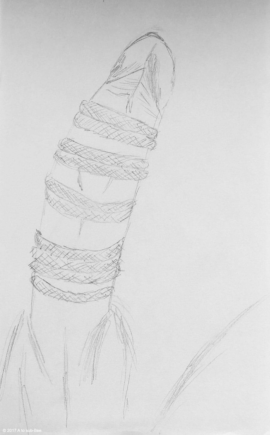 Bee's first attempt of being a it Sketchy. A drawing of the Keepers cock tied up in paracord.