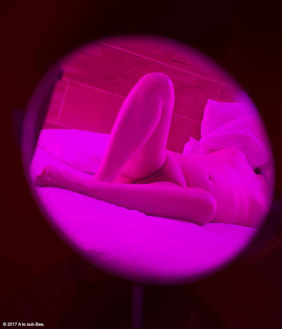 A refelction of Bee on a bed in a circlular mirror using pink LED lighting