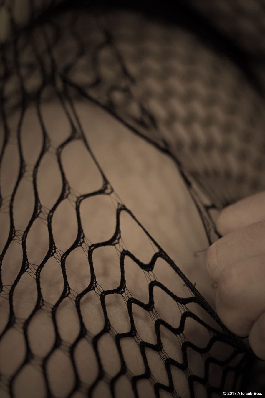 Bee wearing a fishnet body stocking and having it torn off them