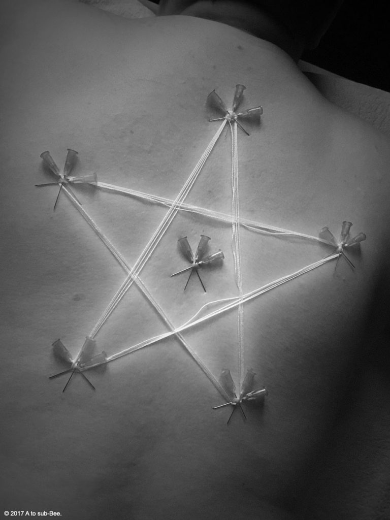 A needleplay star on Bee's back showing they're full of star-stuff