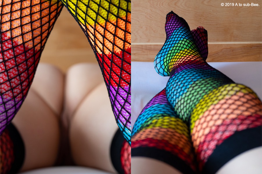 Bee wearing rainbow fishnet stocking for pride at two different angles