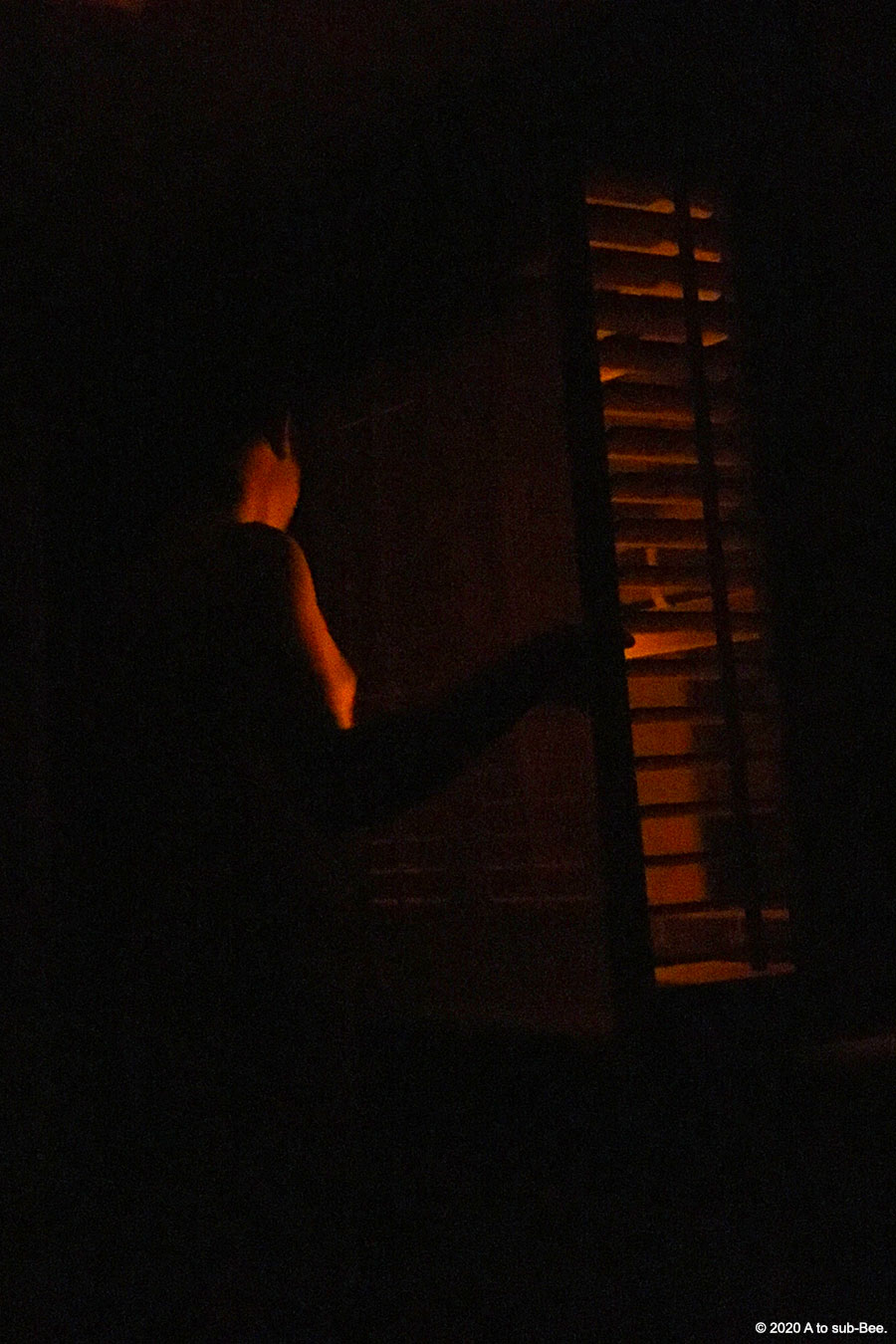Bee-Keeper standing in the window watching in the dark