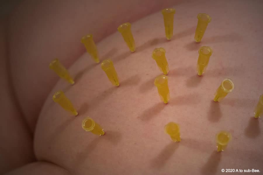 Bee's bottom studded with needles