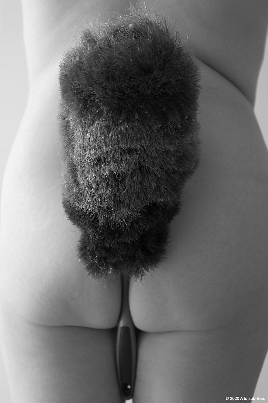 A feather duster gripped between Bee's bum cheeks