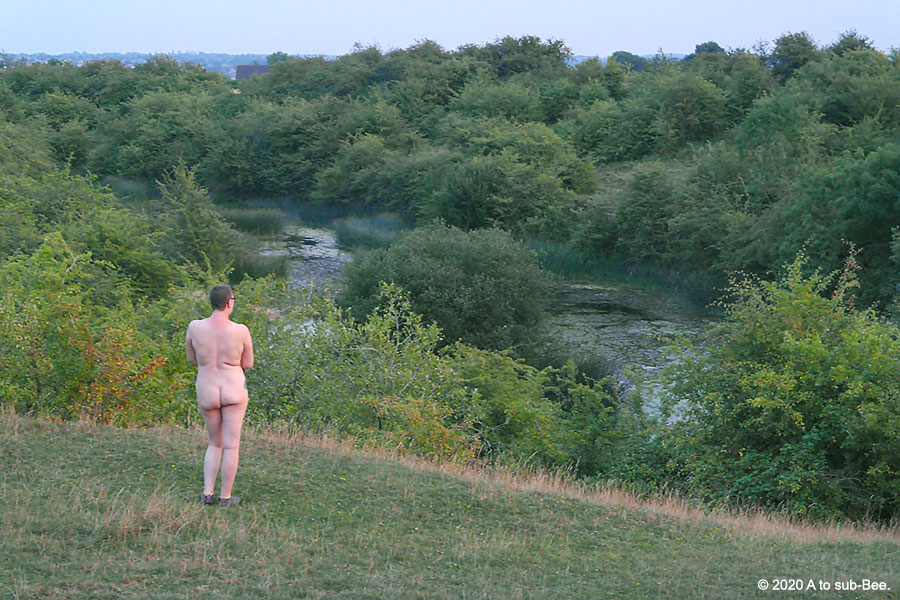 Bee, ever the exhibitionist, standing naked outdoors overlooking a lake and woods
