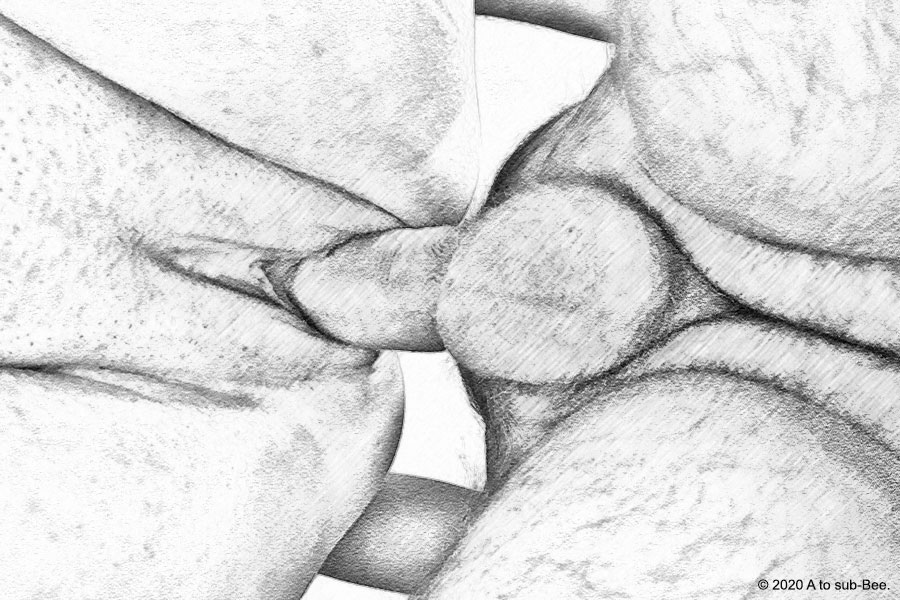 A view of the Keeper fucking Bee from below with a pencil sketch effect