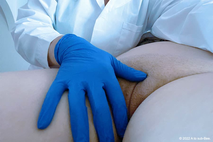 A hand,with a blue glove worn by someone also wearing a white lab coat, touching Bee's cunt