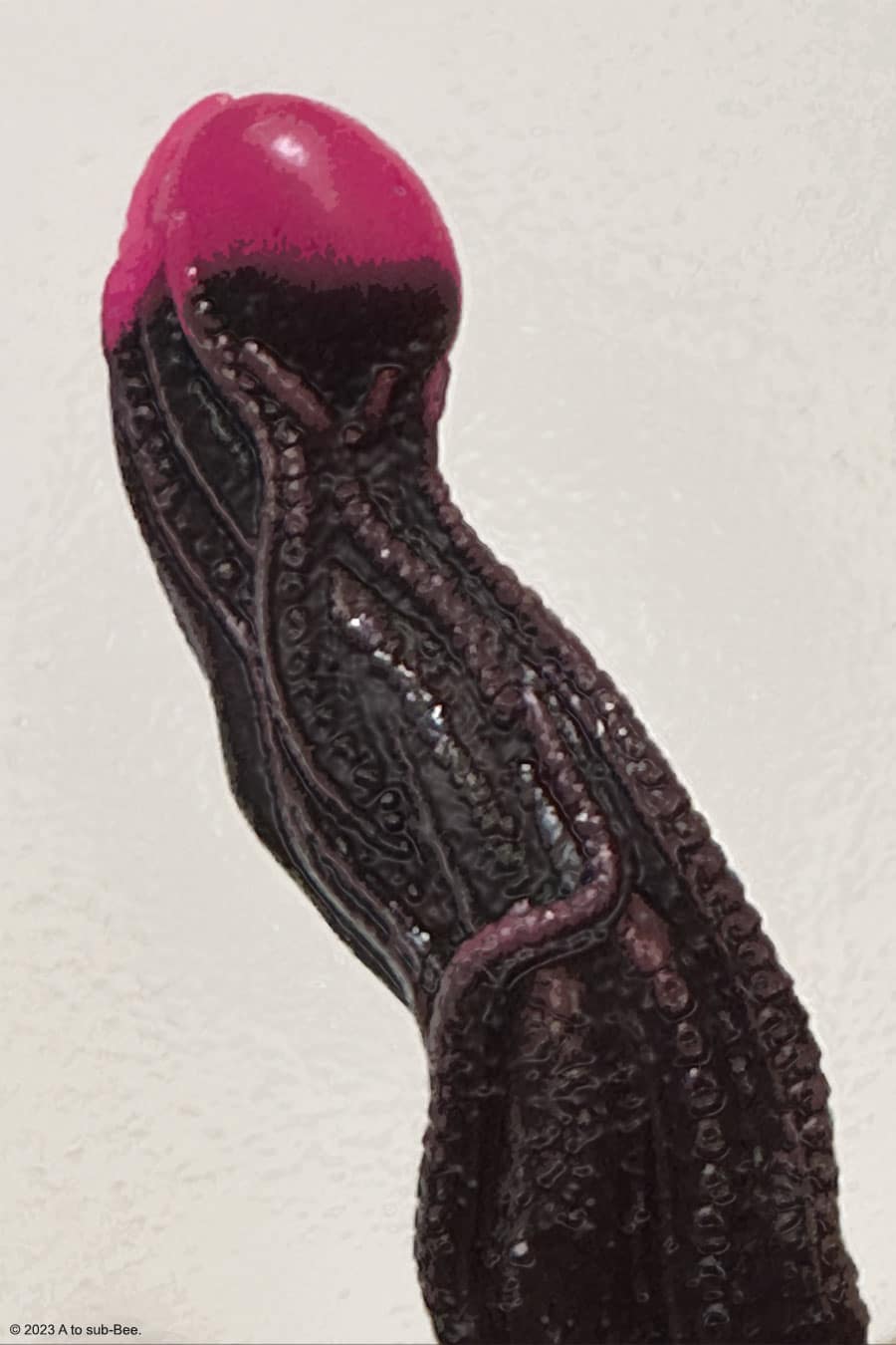 A black tentacle dildo with a pink tip