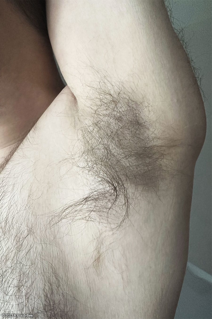 Close up of a mans hairy arm pit