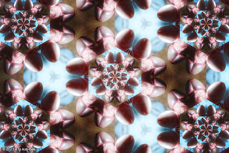 A circle of cock in a repeated pattern giving a kaleidoscope effect