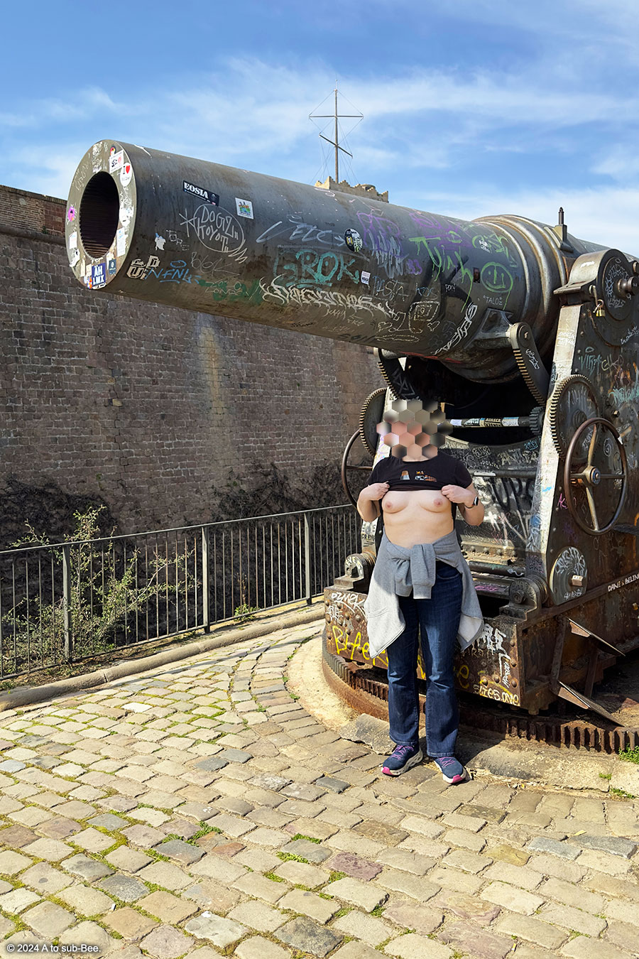 A person, baring their breasts, stood in front of a big gun / cannon. The cannon is covered in graffiti and there is an old military fort behind it.