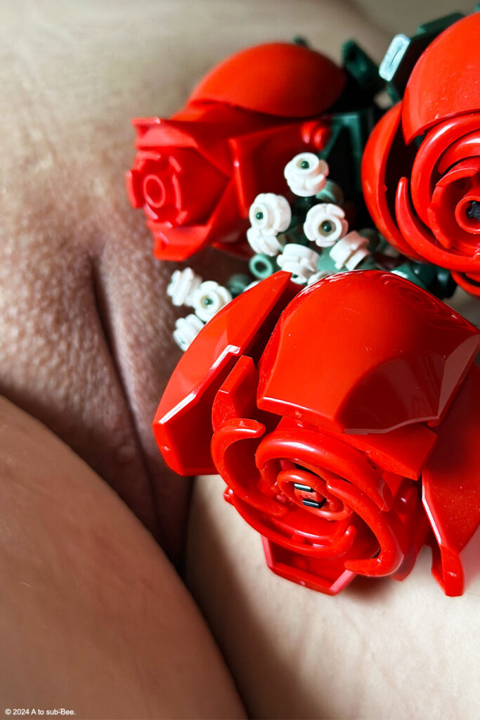 A close up of a person's vulva with some roses made out of Lego