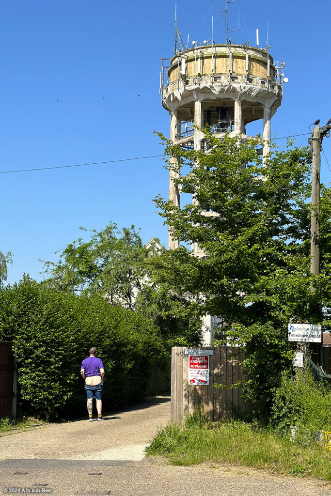 A person flashing theor bottom in front of a water tower