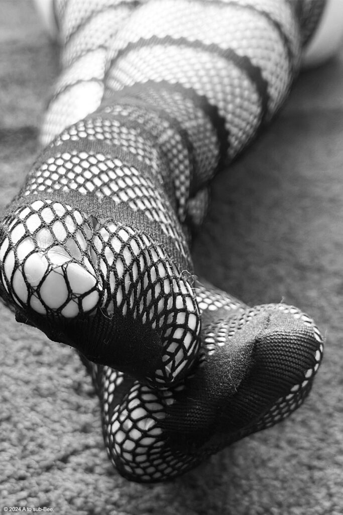 A close up of stockinged feet in fishnets, looking from the persons toes up their legs