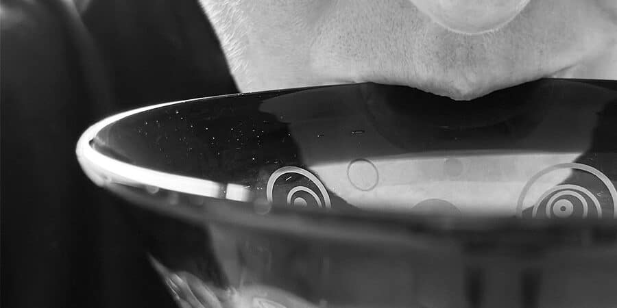 A black and white close up of a person drinking out of a cocktail glass