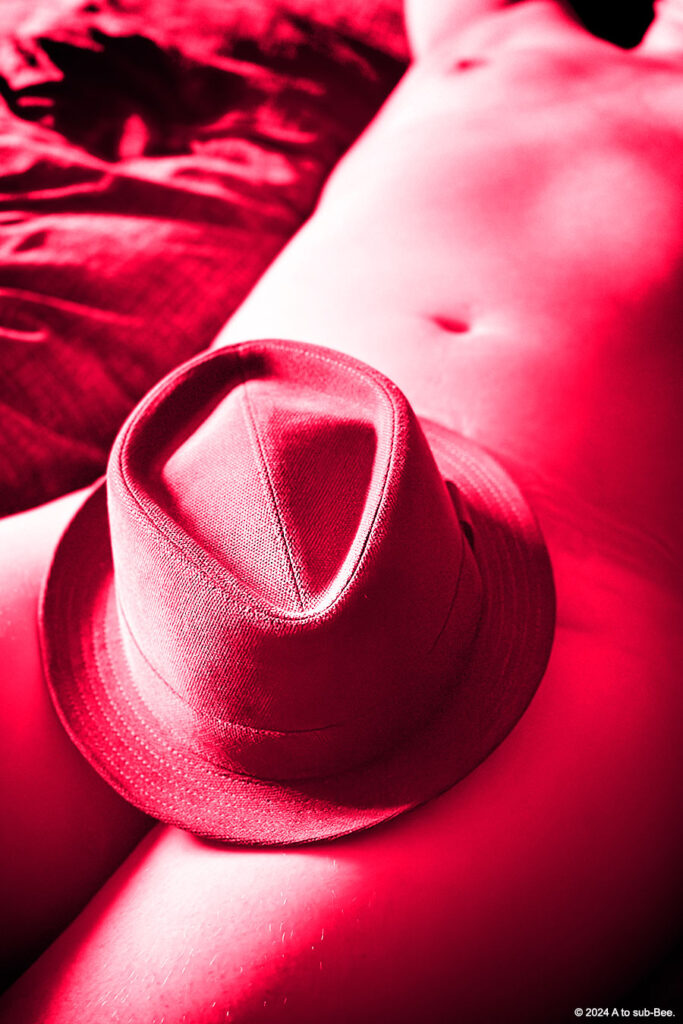 An image of a person's torso with a fedora type hat covering their crotch. The image also has a red colour filter to make it really pop.