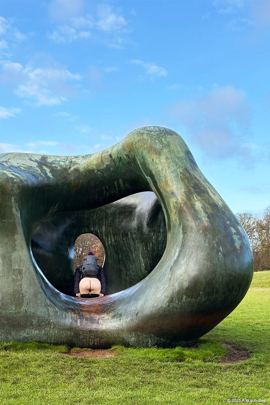 A person stood in the middle of a sculture, that looks like a wobbly ring, showing their bare bottom.